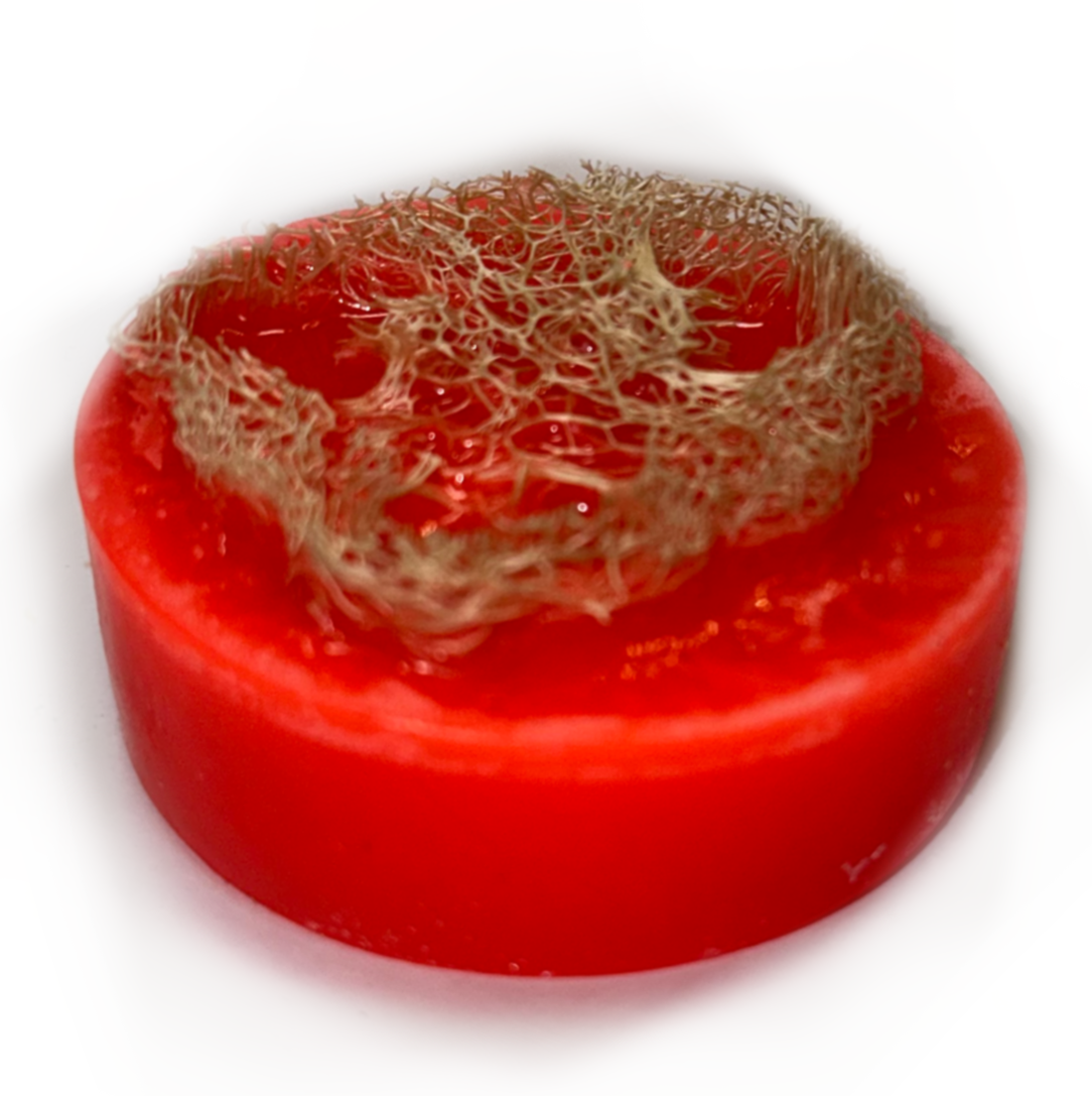 Tropical Summer Lovin